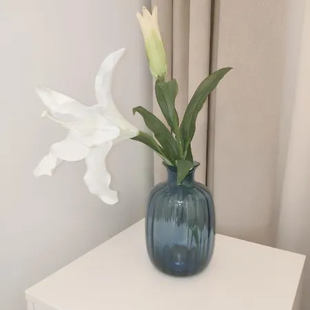 아파트 White 스클라르스카포렘바