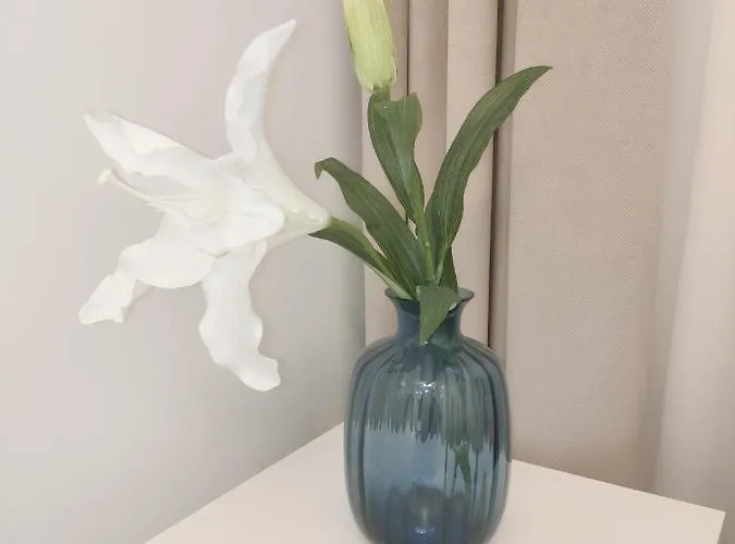 Apartament White Szklarska Poręba